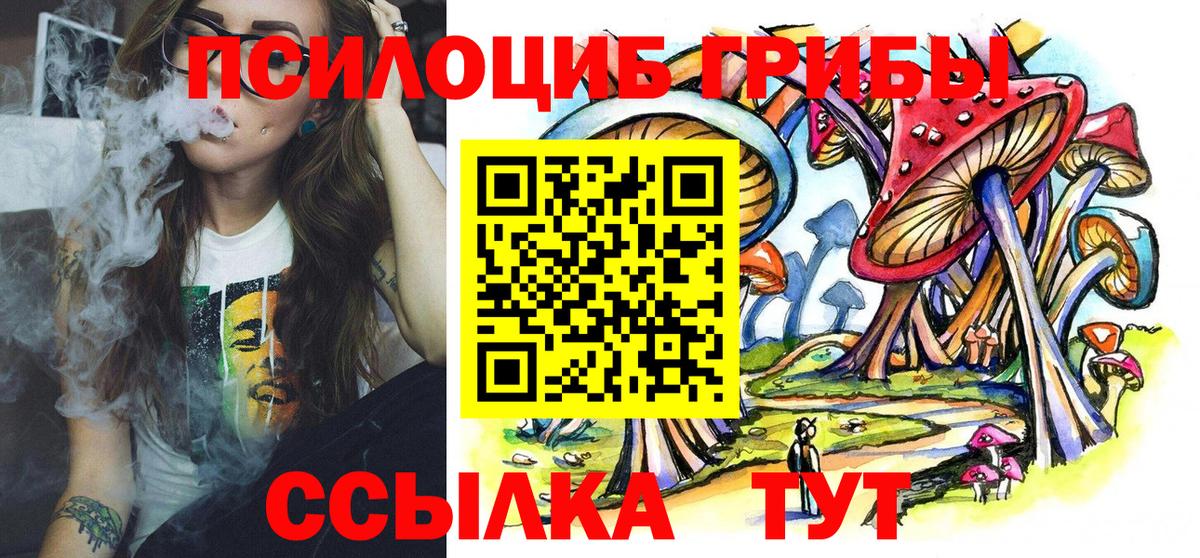 Галлюциногенные грибы Cubensis Балашов