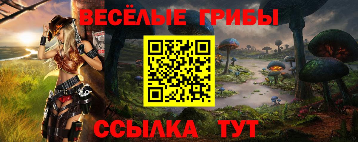 Псилоцибиновые грибы GOLDEN TEACHER  Вход с VPN  Балашов  Галлюциногенные грибы Cubensis 